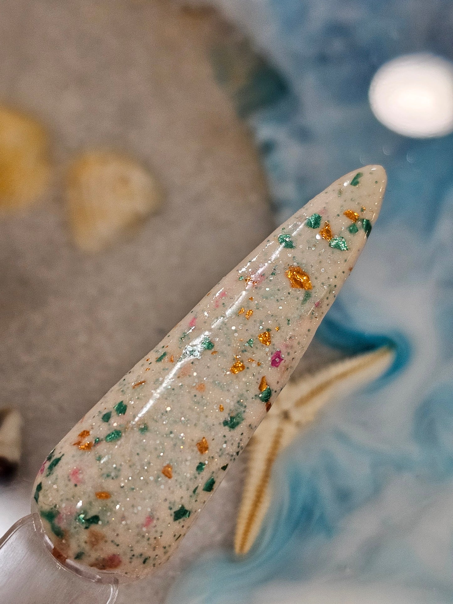 So Succulent Collection