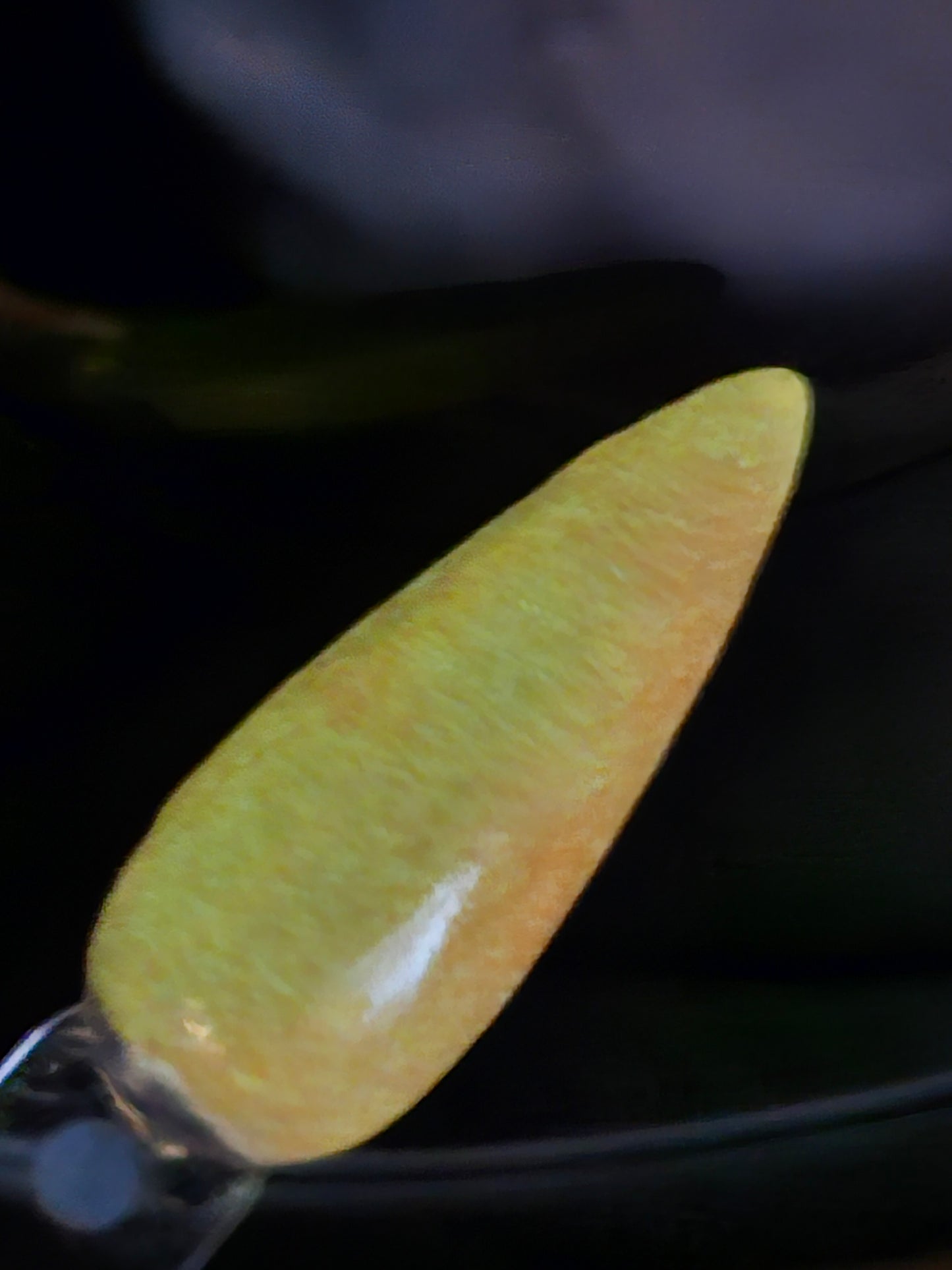 Hawaiian Golden Hour - Thermal