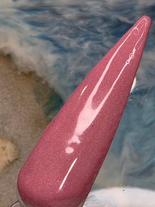 Chilean Flamingo